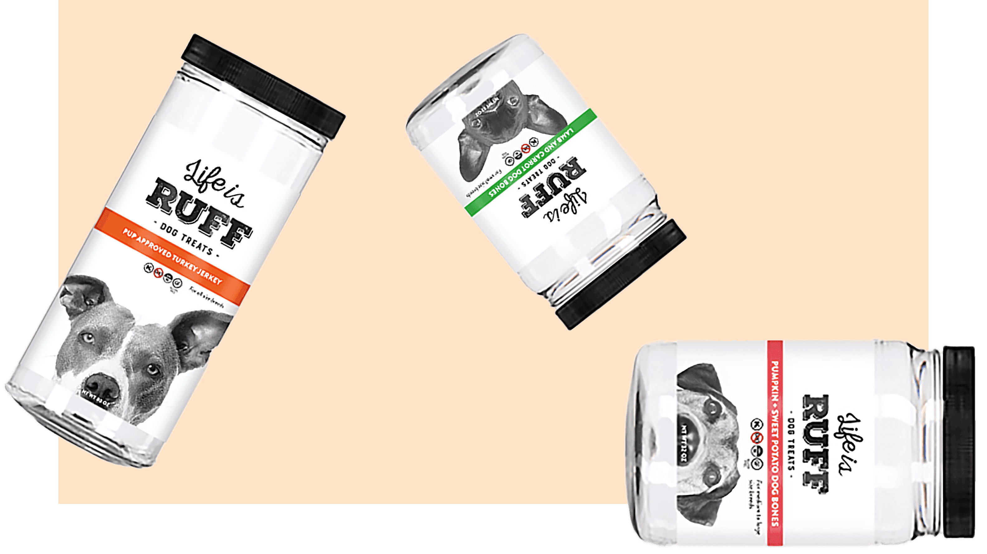 Pet Care Packaging | Bottles, Jars & Treat Containers