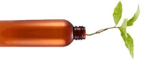 Compostable Plastics: 3 Things You Need To Know