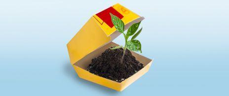 Packaging guide aims to make dining out more eco-friendly with green food jars