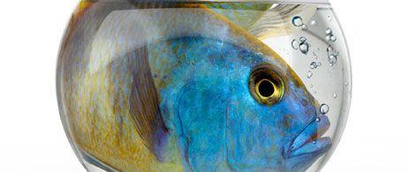 Moving to a bigger facility in Kentucky