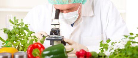New legislation gives food safety a much-needed makeover