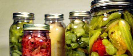 Plastisol Liners: The Sound of Safety