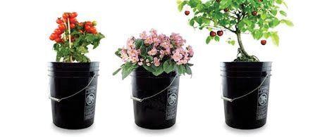 There's nothing quite like a five gallon bucket summer