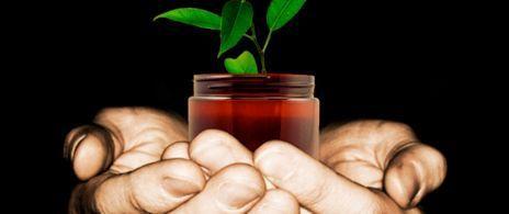 10 things you can do to become a "sustainable" organization