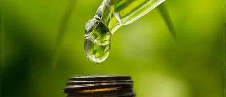 Small glass or plastic bottles shown alongside essential oils for pet odor use