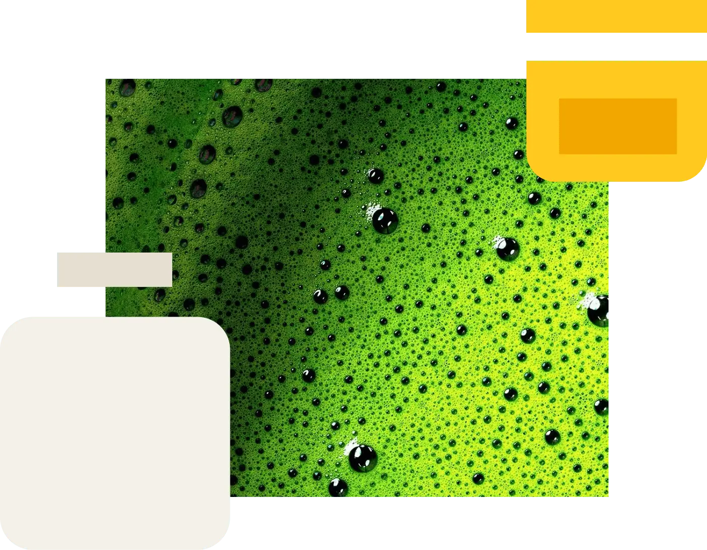 Food & Beverage