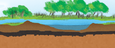 Infographic: Why Do We Use Plastic?